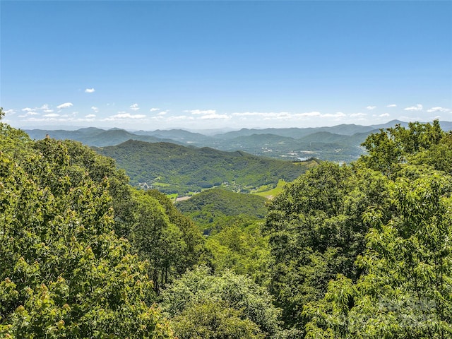 505 Middle Top Loop, Maggie Valley, NC 28751 - view of mountain background featuring a forest
