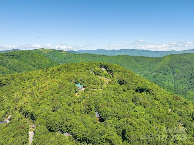 505 Middle Top Loop, Maggie Valley, NC 28751 - mountain view with a forest