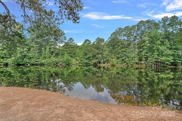 1849 Still Water Ln, Indian Land, SC 29707 - water view with a heavily wooded area