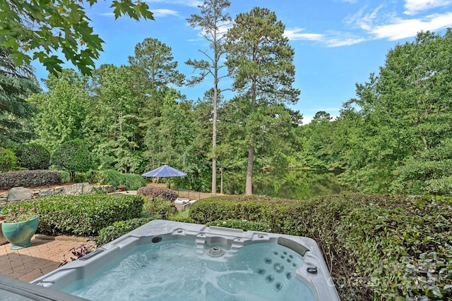 1849 Still Water Ln, Indian Land, SC 29707 - exterior view of a jacuzzi and a heavily wooded area