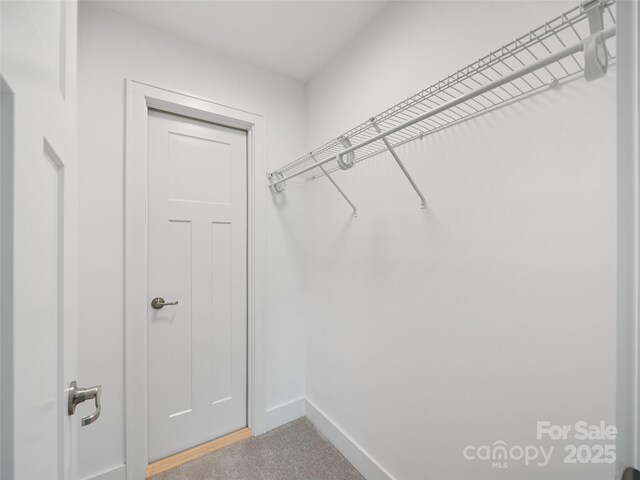 241 Millbrae Loop, Hendersonville, NC 28791 - walk in closet with carpet floors