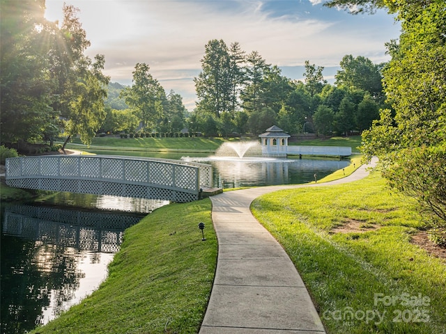 241 Millbrae Loop, Hendersonville, NC 28791 - view of home's community with a water view