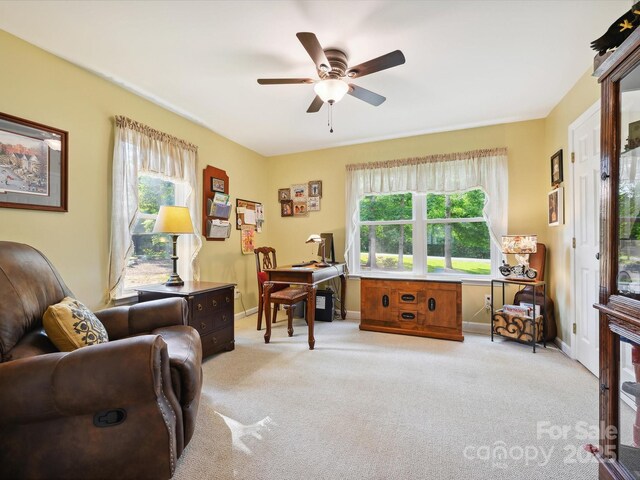 7300 Bailywick Dr, Waxhaw, NC 28173 - photo 22