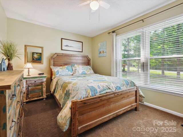 7300 Bailywick Dr, Waxhaw, NC 28173 - photo 25