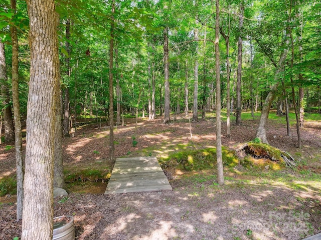 7300 Bailywick Dr, Waxhaw, NC 28173 - photo 39