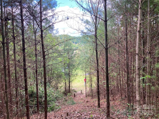 82 Seven Glens Dr, Weaverville, NC 28787