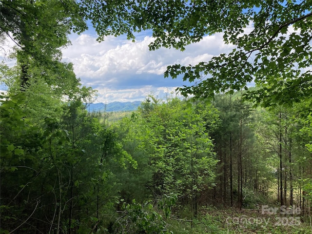 82 Seven Glens Dr, Weaverville, NC 28787