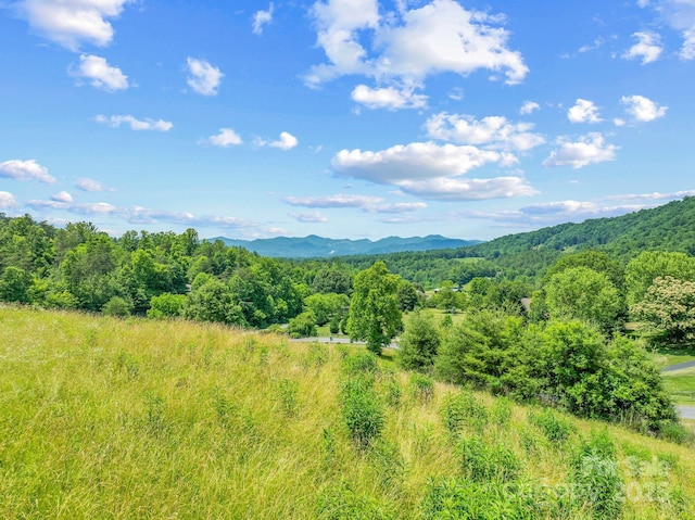 82 Seven Glens Dr, Weaverville, NC 28787
