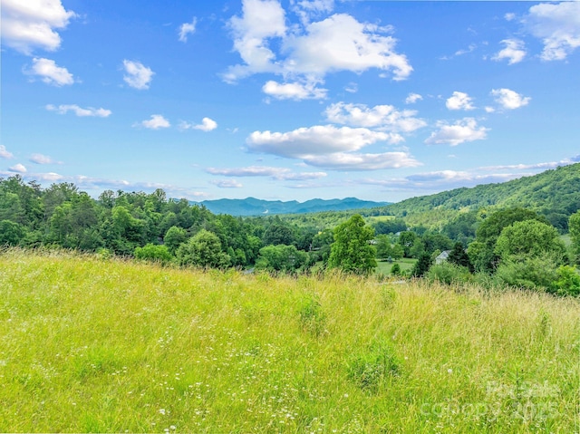 82 Seven Glens Dr, Weaverville, NC 28787