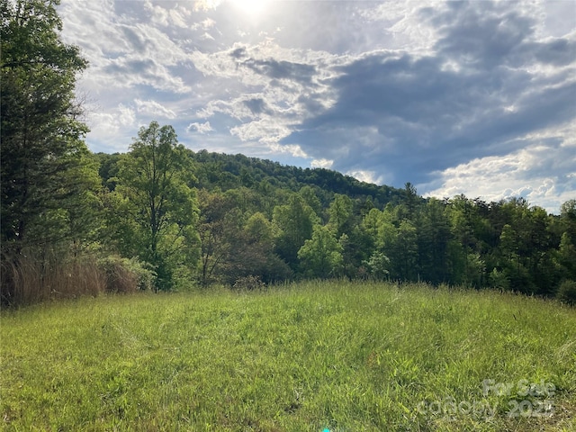 82 Seven Glens Dr, Weaverville, NC 28787