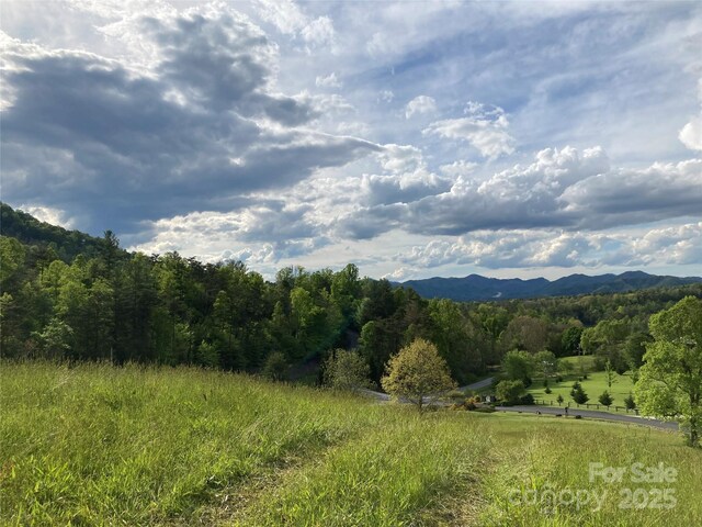 82 Seven Glens Dr, Weaverville, NC 28787