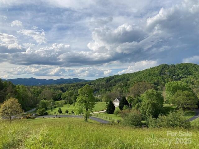 82 Seven Glens Dr, Weaverville, NC 28787