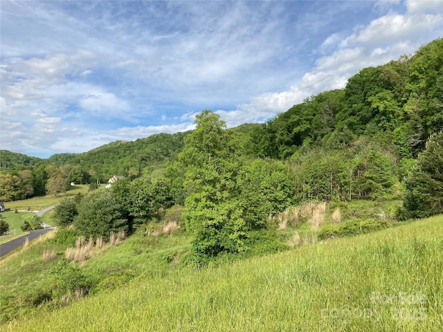 82 Seven Glens Dr, Weaverville, NC 28787