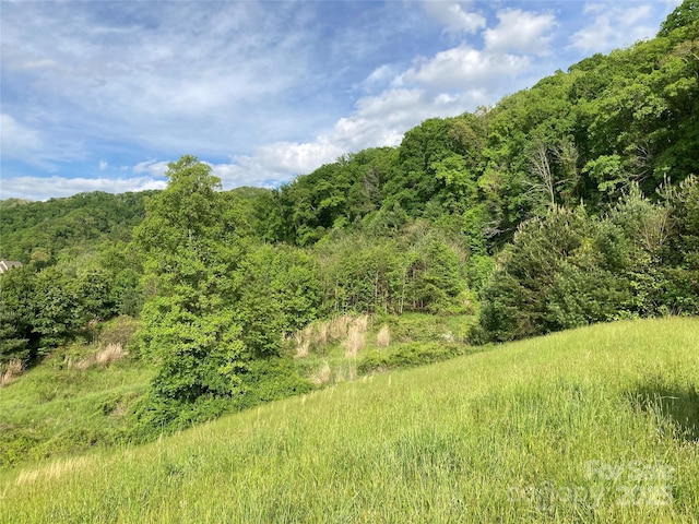 82 Seven Glens Dr, Weaverville, NC 28787