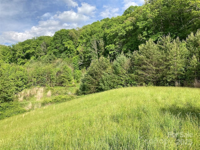 82 Seven Glens Dr, Weaverville, NC 28787