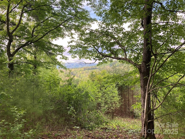 82 Seven Glens Dr, Weaverville, NC 28787