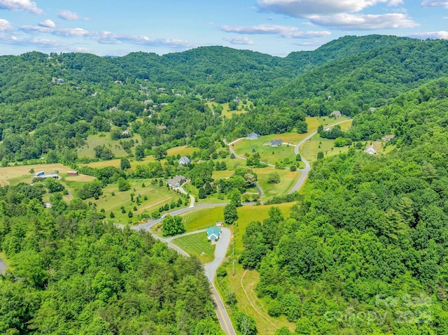 82 Seven Glens Dr, Weaverville, NC 28787