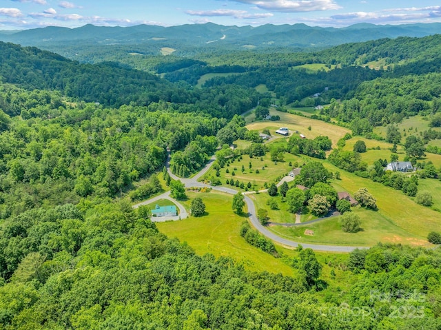 82 Seven Glens Dr, Weaverville, NC 28787