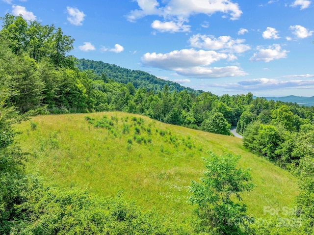 82 Seven Glens Dr, Weaverville, NC 28787