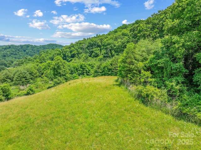 82 Seven Glens Dr, Weaverville, NC 28787