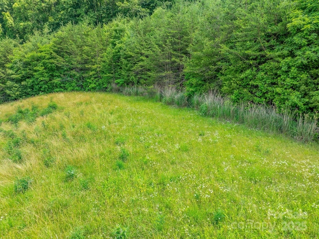 82 Seven Glens Dr, Weaverville, NC 28787