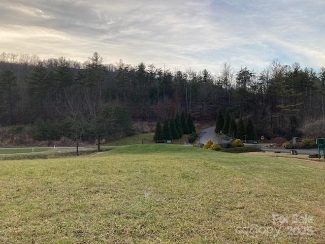82 Seven Glens Dr, Weaverville, NC 28787