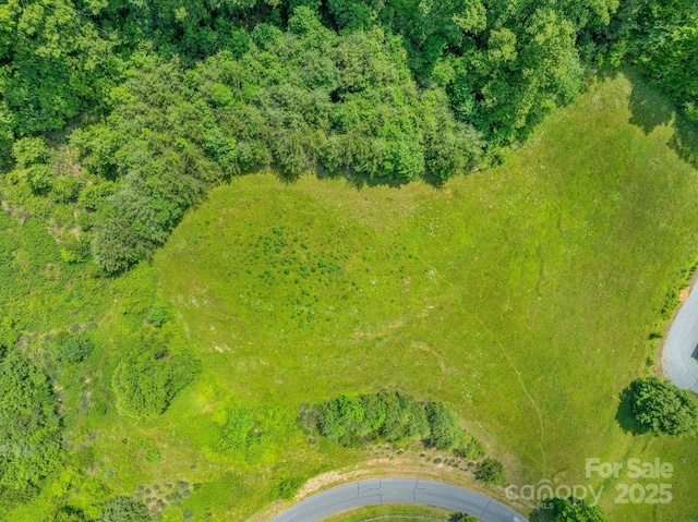 82 Seven Glens Dr, Weaverville, NC 28787