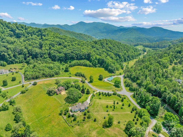 82 Seven Glens Dr, Weaverville, NC 28787