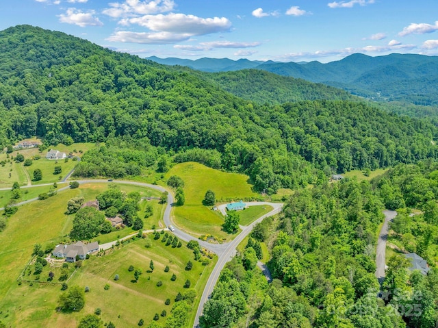 82 Seven Glens Dr, Weaverville, NC 28787