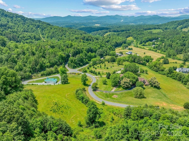 82 Seven Glens Dr, Weaverville, NC 28787
