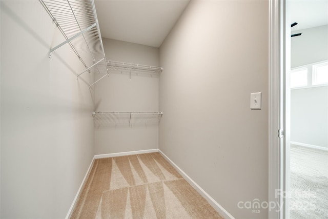 173 Morgans Branch Rd, Belmont, NC 28012 - walk in closet featuring carpet