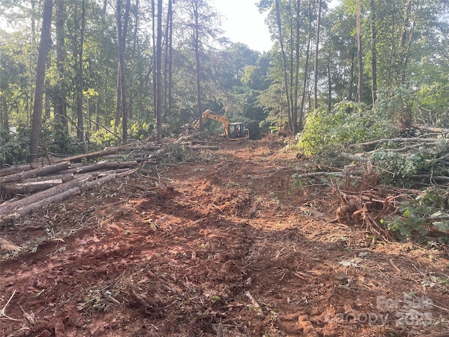 1676 Parkside Dr, Catawba, NC 28609 - view of wooded area