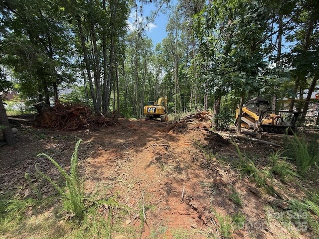 1676 Parkside Dr, Catawba, NC 28609 - view of yard