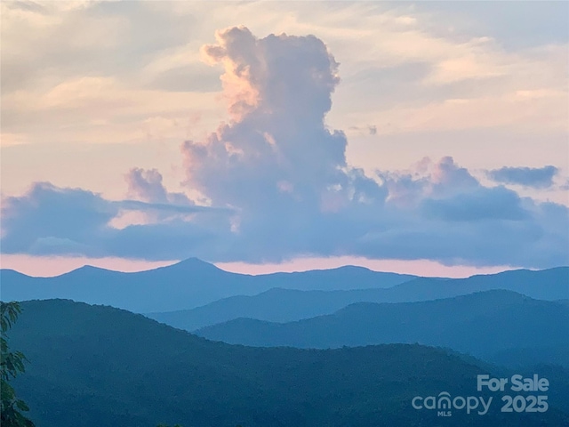 2998 Creston Dr, Black Mountain, NC 28711 - photo 31