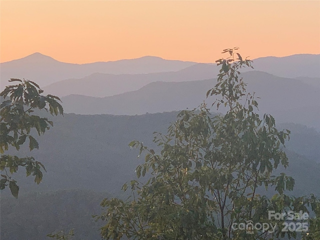 2998 Creston Dr, Black Mountain, NC 28711 - photo 32