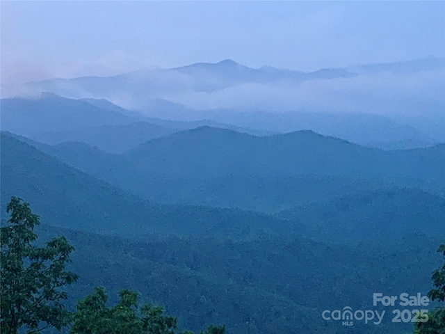 2998 Creston Dr, Black Mountain, NC 28711 - photo 33
