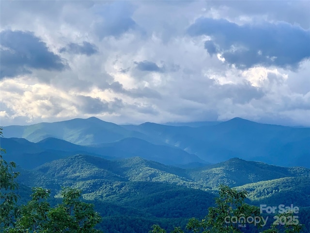2998 Creston Dr, Black Mountain, NC 28711 - photo 36
