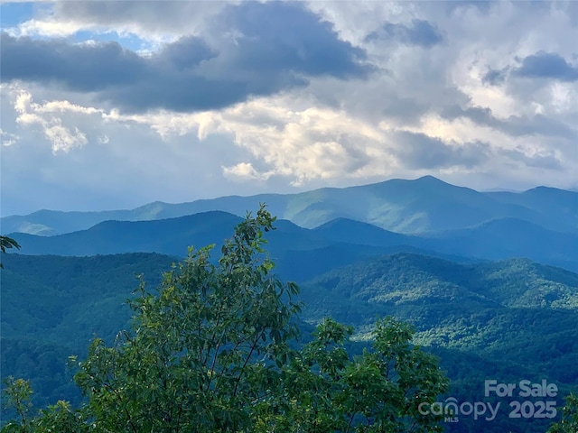 2998 Creston Dr, Black Mountain, NC 28711 - photo 37