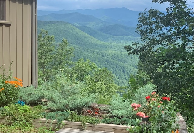 2998 Creston Dr, Black Mountain, NC 28711 - photo 39