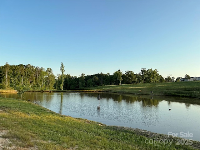 2737 Bobcat Rd, Heath Springs, SC 29058 - water view