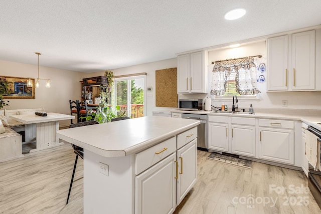 101 Michael Ct, Leicester, NC 28748 - kitchen featuring appliances with stainless steel finishes, a sink, light wood-style flooring, a textured ceiling, and light countertops