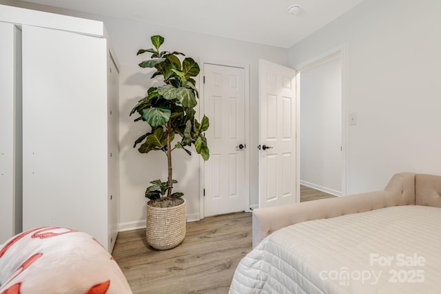 101 Michael Ct, Leicester, NC 28748 - bedroom with light wood-style floors and baseboards