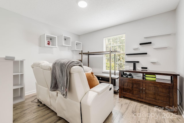 101 Michael Ct, Leicester, NC 28748 - living area with wood finished floors, baseboards, and a textured ceiling