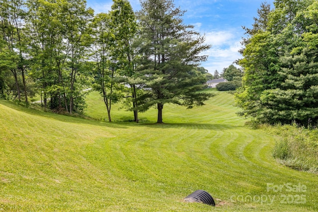 101 Michael Ct, Leicester, NC 28748 - view of green lawn