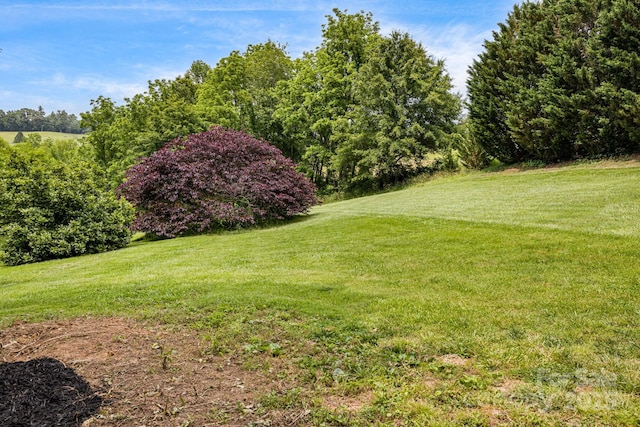 101 Michael Ct, Leicester, NC 28748 - view of green lawn