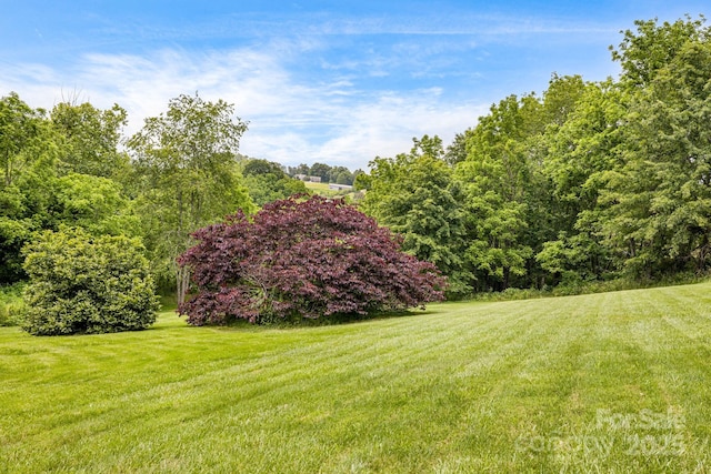 101 Michael Ct, Leicester, NC 28748 - view of grassy yard featuring a wooded view