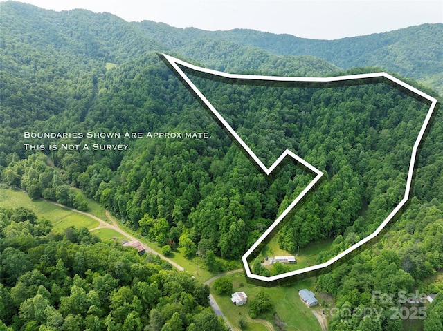 320 Board Tree Rd, Marshall, NC 28753 - view of property location with a heavily wooded area and property boundaries highlighted