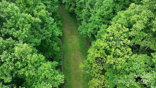 320 Board Tree Rd, Marshall, NC 28753 - view of property location