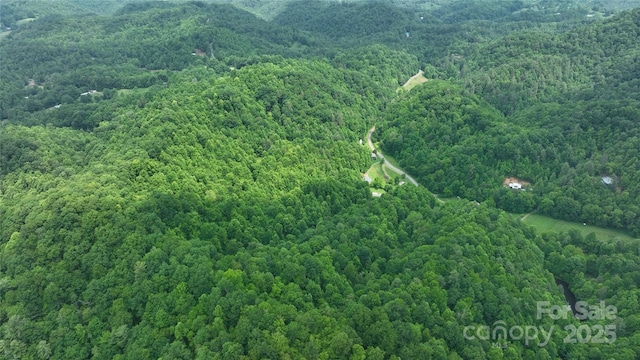 320 Board Tree Rd, Marshall, NC 28753 - aerial view of property and surrounding area featuring a heavily wooded area