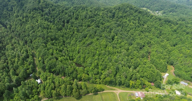320 Board Tree Rd, Marshall, NC 28753 - aerial view of property's location featuring a forest